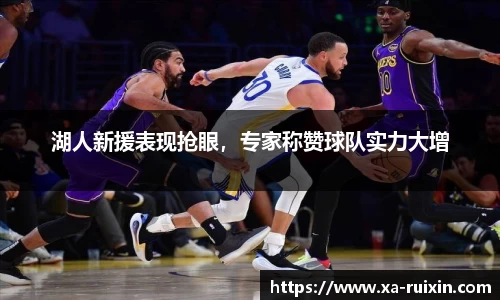 湖人新援表现抢眼，专家称赞球队实力大增